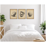 Three framed sepia-toned vintage sports prints showing a football, a baseball glove with ball, and a basketball arranged above a white bed in a minimalist bedroom.