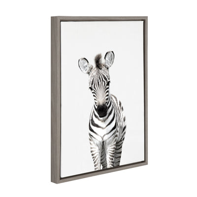 Sylvie Baby Zebra Framed Canvas by Amy Peterson