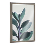 Blake Senecio 1 Framed Printed Glass by kateandlaurel - main product image for Resin Society