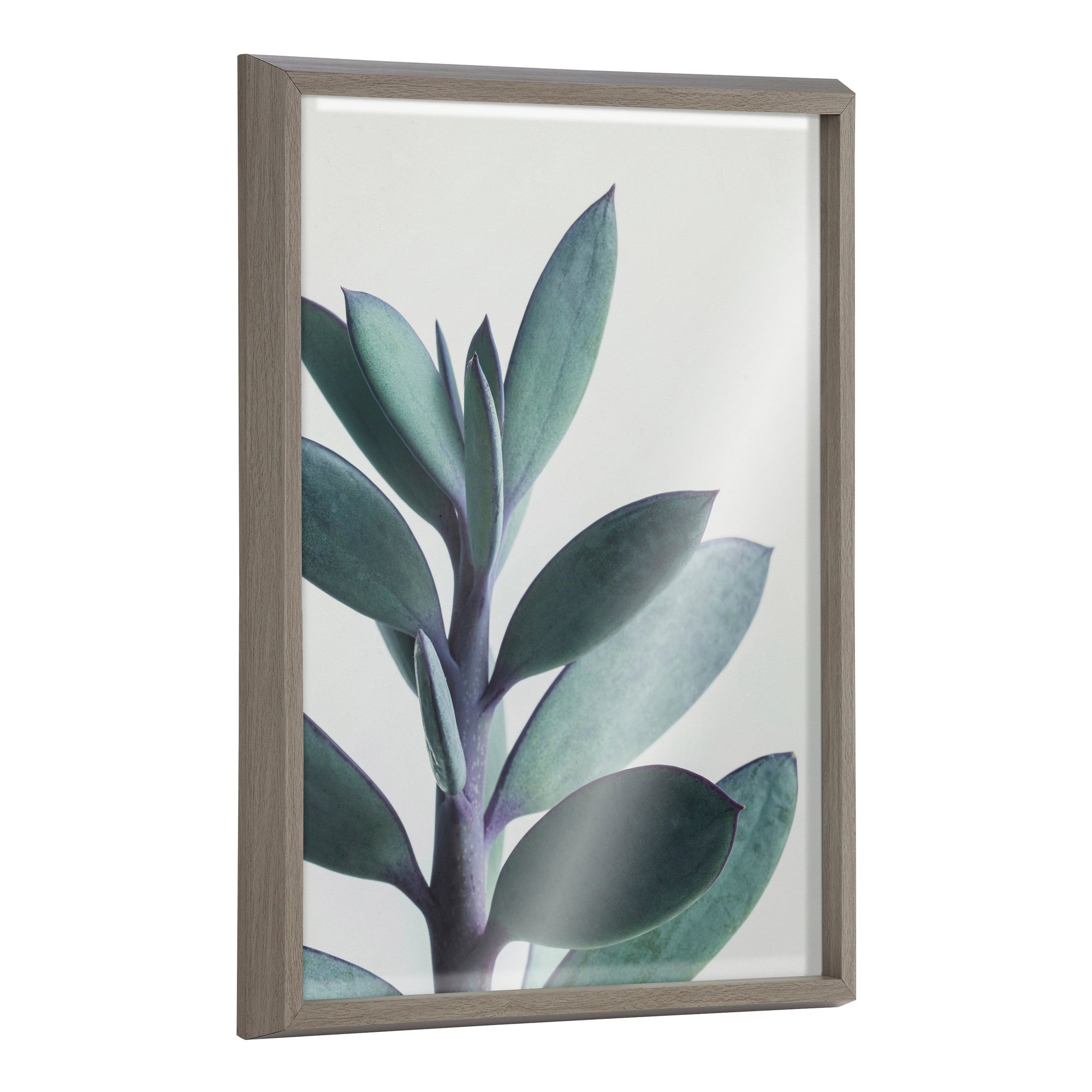 Blake Senecio 1 Framed Printed Glass by kateandlaurel - main product image for Resin Society
