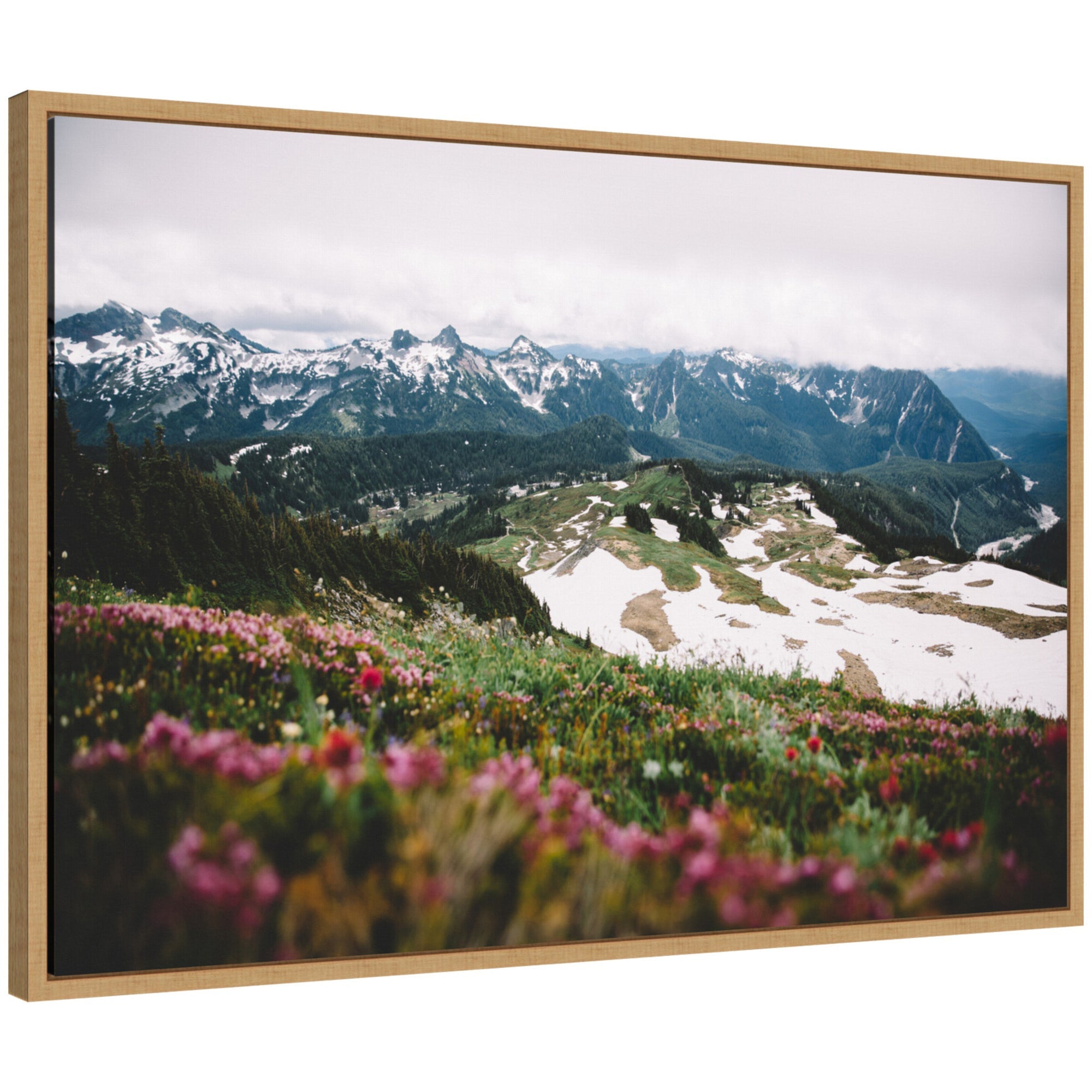 Sylvie Snow Covered Mountain Landscape Framed Canvas by Patricia Hasz