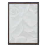 Blake Botanical Succulent Plants 2 Framed Printed Glass by The Creative by kateandlaurel - product image 4 for Resin Society