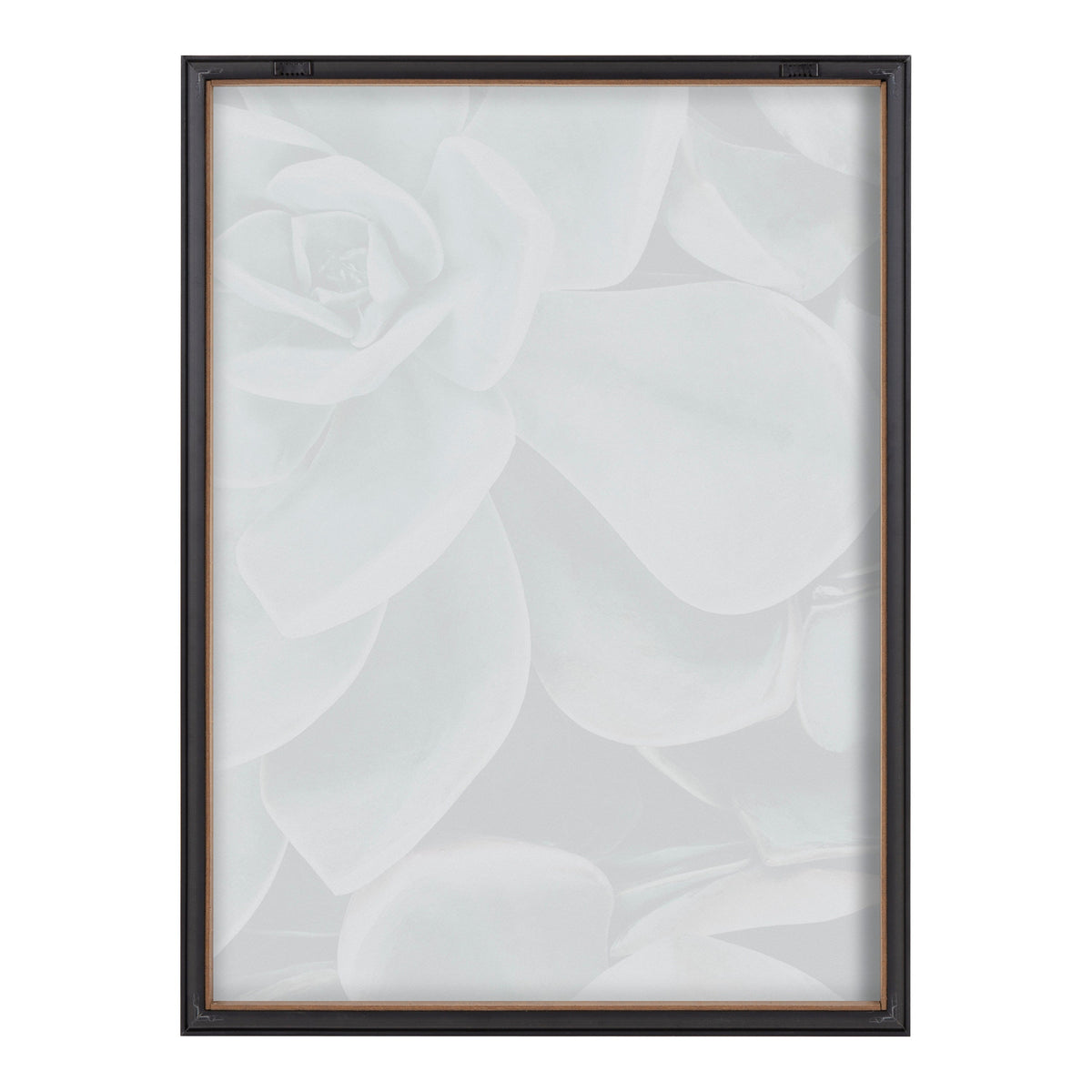 Blake Botanical Succulent Plants 2 Framed Printed Glass by The Creative by kateandlaurel - product image 4 for Resin Society