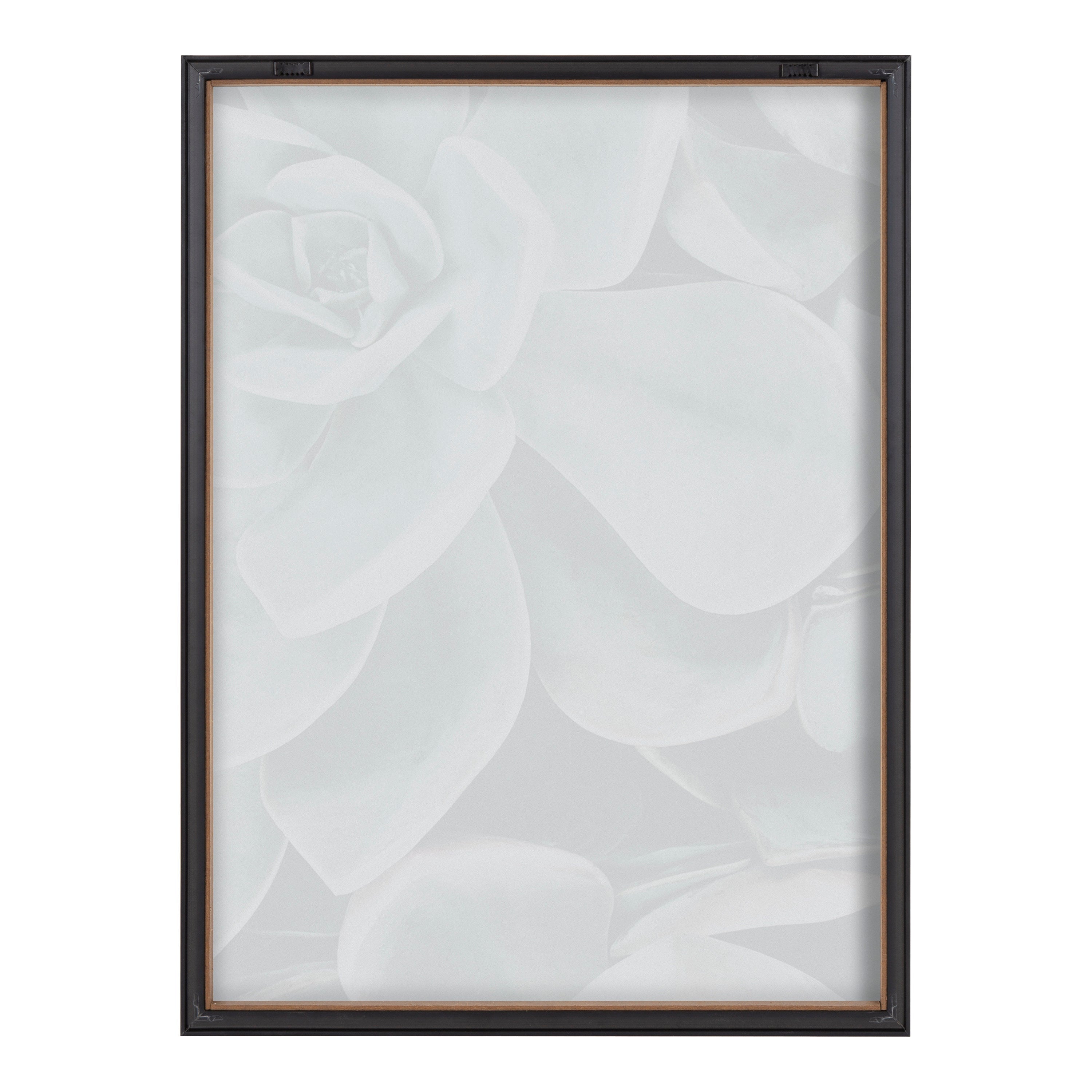 Blake Botanical Succulent Plants 2 Framed Printed Glass by The Creative by kateandlaurel - product image 4 for Resin Society