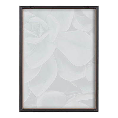 Blake Botanical Succulent Plants 2 Framed Printed Glass by The Creative by kateandlaurel - product image 4 for Resin Society
