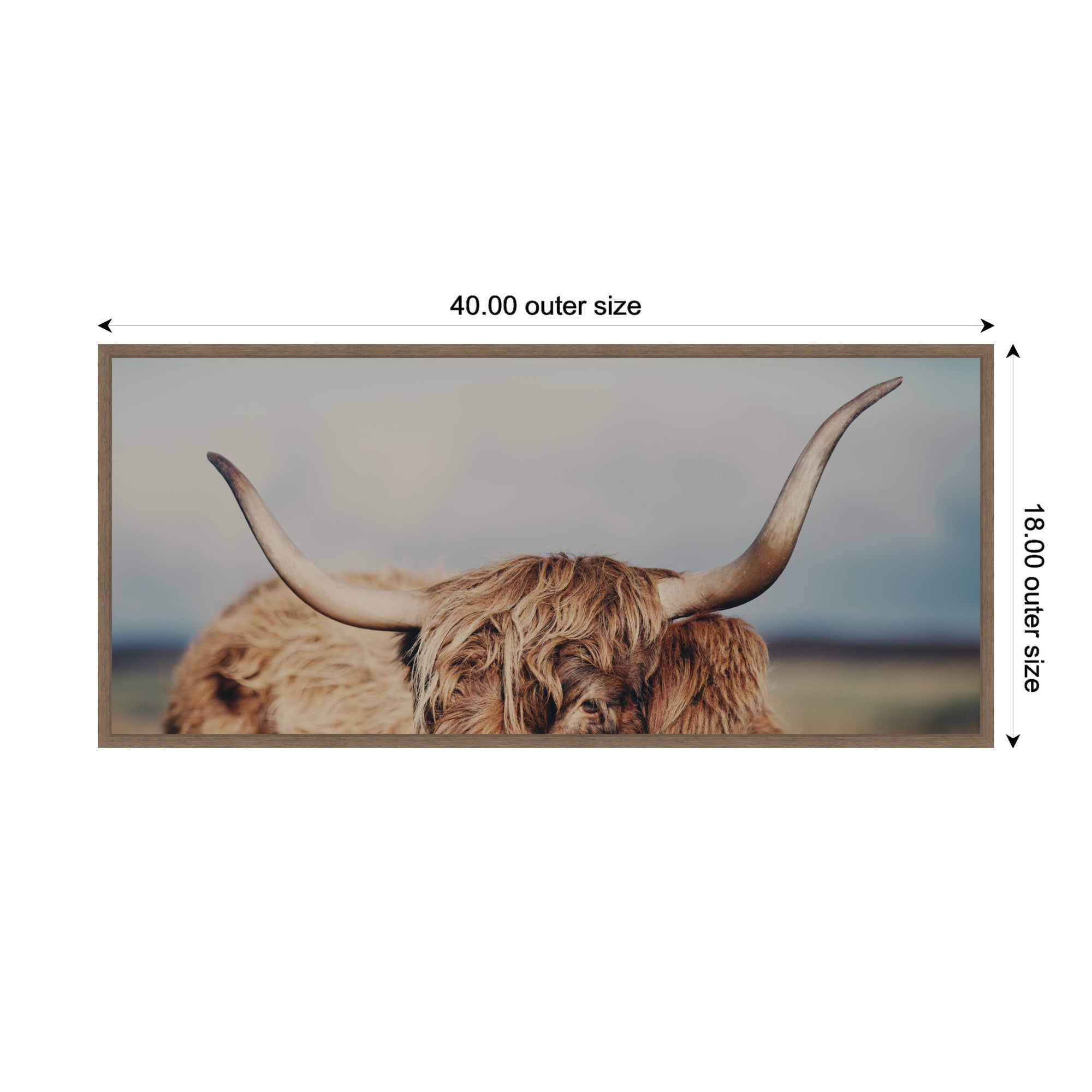 Highland Cow IX Close Panel by Laura Evans Framed Canvas Wall Art Print