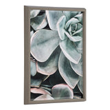 Blake Botanical Succulent Plants 2 Framed Printed Glass by The Creative by kateandlaurel - main product image for Resin Society