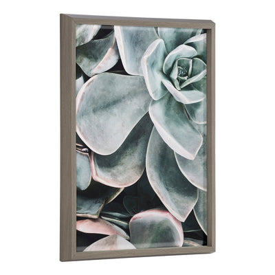 Blake Botanical Succulent Plants 2 Framed Printed Glass by The Creative by kateandlaurel - main product image for Resin Society