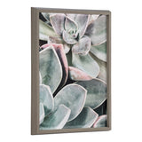 Blake Botanical Succulent Plants 1 Framed Printed Glass by The Creative by kateandlaurel - main product image for Resin Society