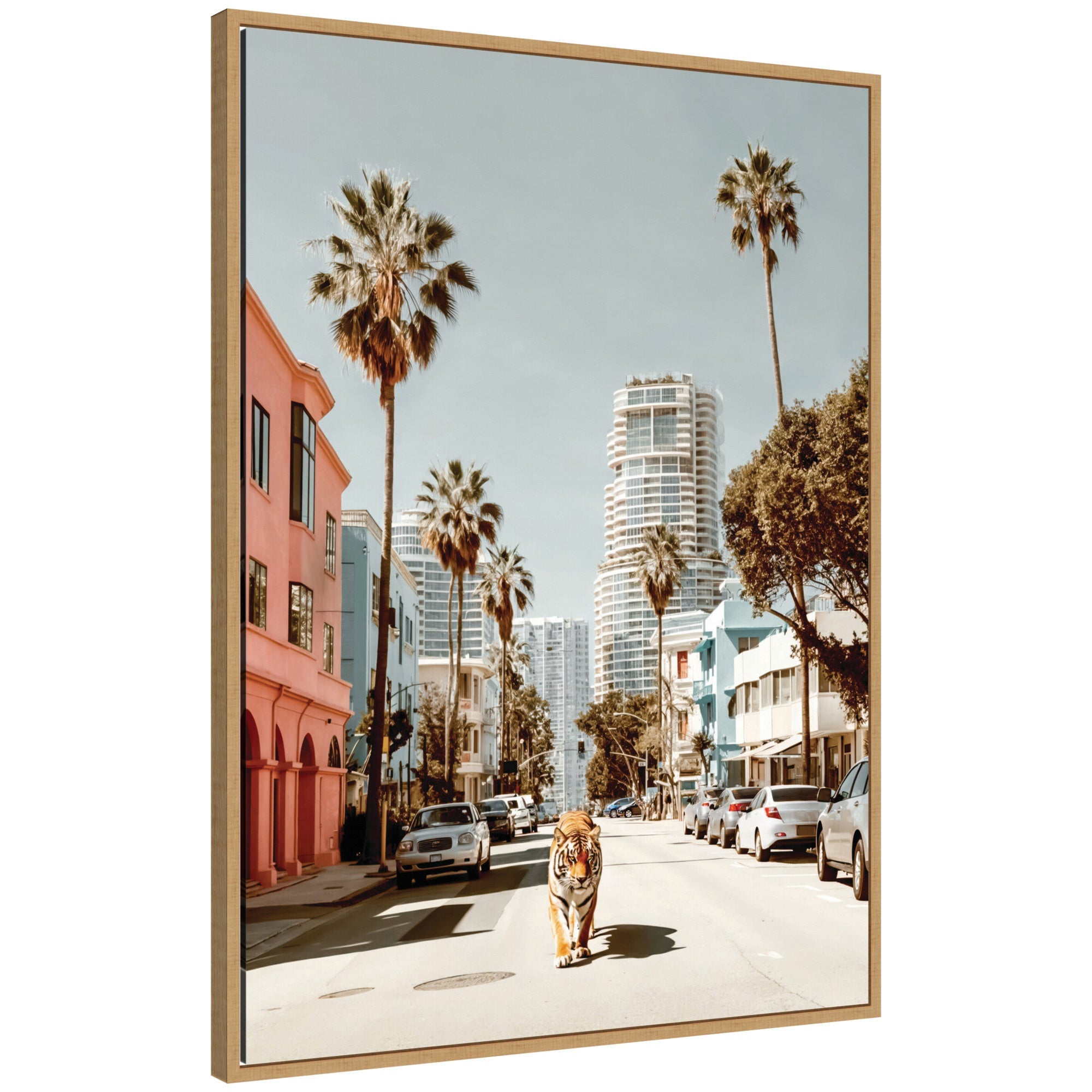Sylvie California Tiger Roaming through Palm Springs Framed Canvas by Michael Schauer