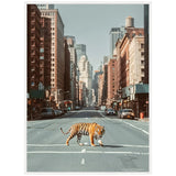 Orange and black striped tiger crossing an empty urban street, flanked by tall buildings and cars parked along the sidewalks under a clear sky.