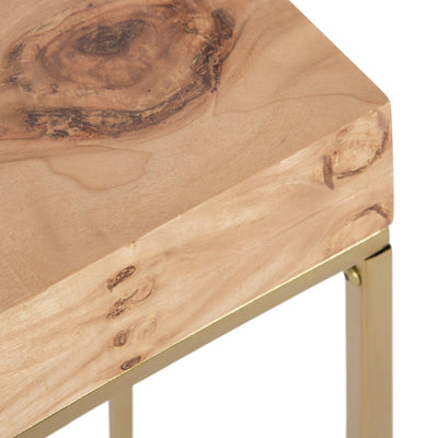 Karlsen Wood and Metal Slim Side Table