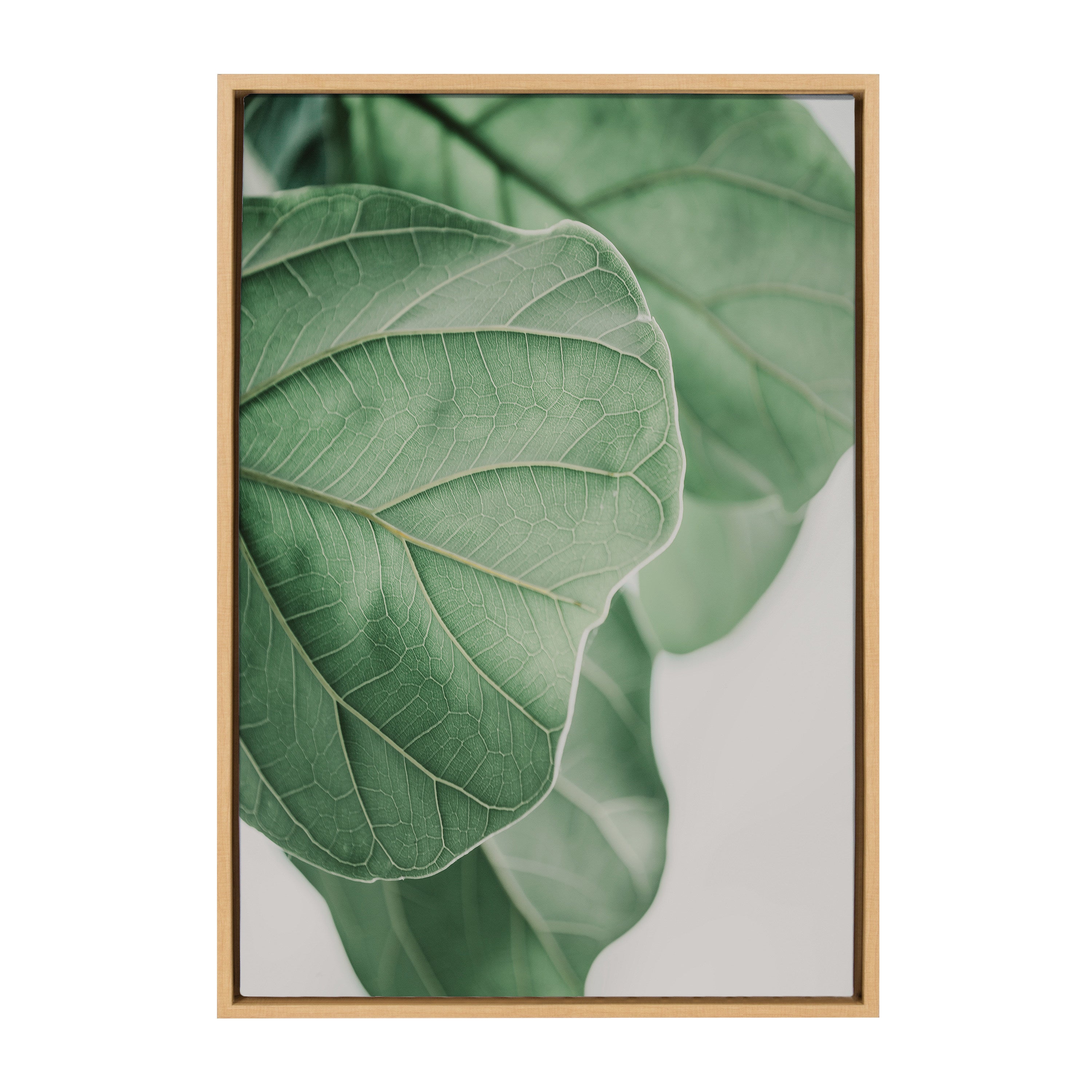 Sylvie Plant Study 6 Framed Canvas by kateandlaurel - product image 18 for Resin Society