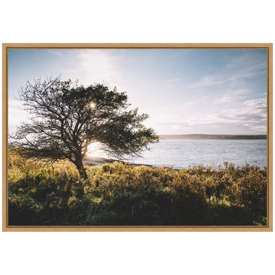Sylvie Coastal Serene Sunset Tree Landscape Framed Canvas by Patricia Hasz