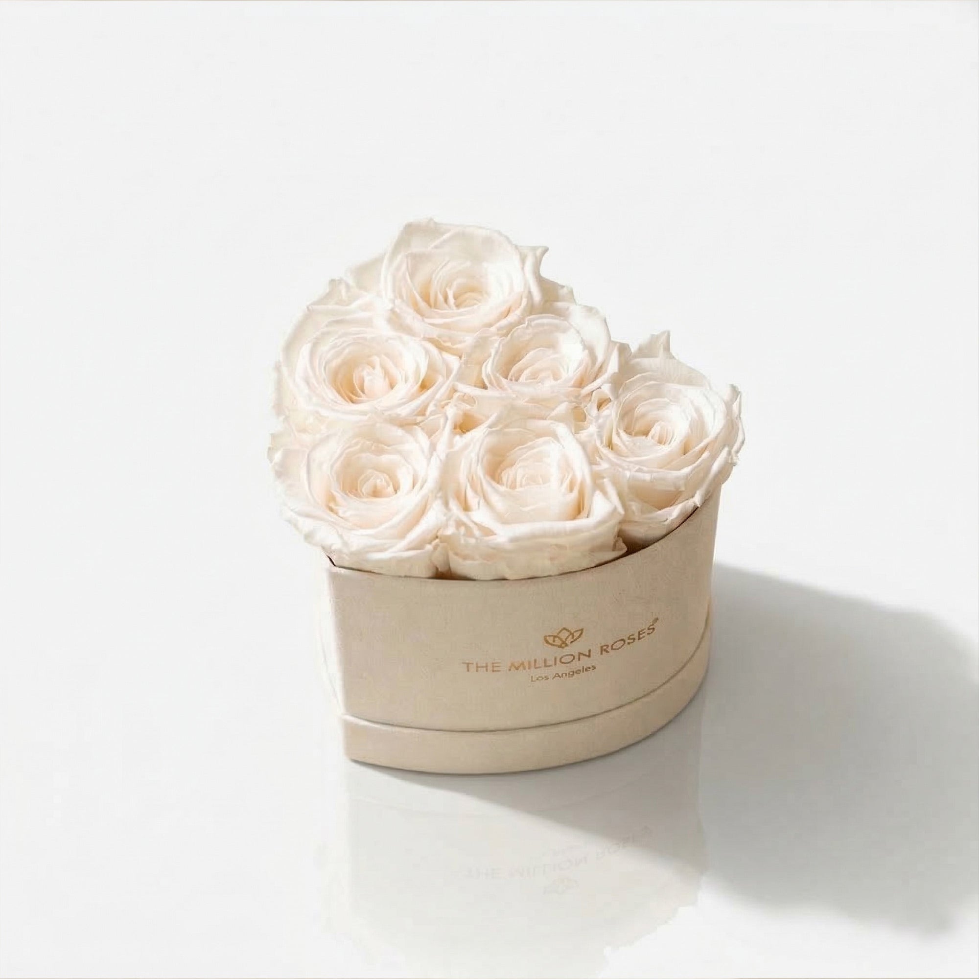 Baby Heart Beige Box containing 6 white roses arranged in a heart shape