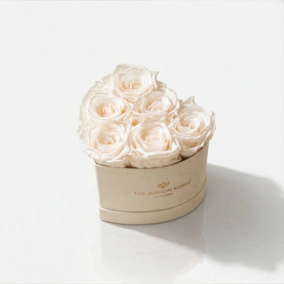 Baby Heart Beige Box containing 6 white roses arranged in a heart shape