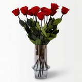 One dozen long stem red preserved roses by The Million Roses