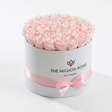 Supreme White Box containing 26-28 light pink preserved roses arranged neatly