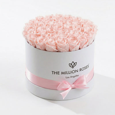 Supreme White Box containing 26-28 light pink preserved roses arranged neatly