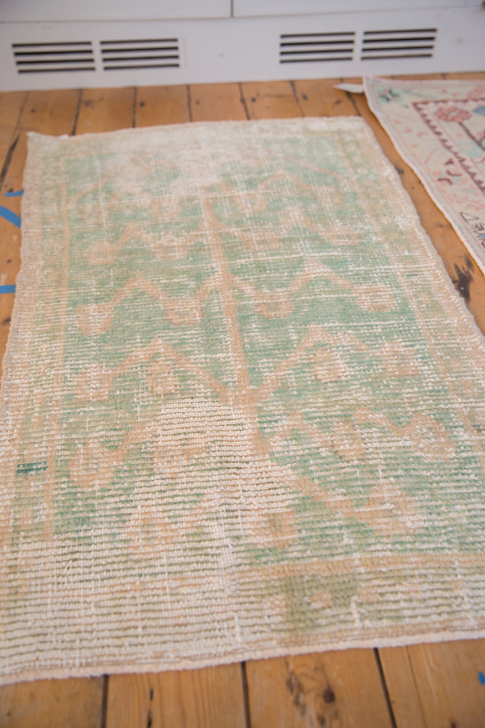 2.5x4 Vintage Distressed Tulu Rug