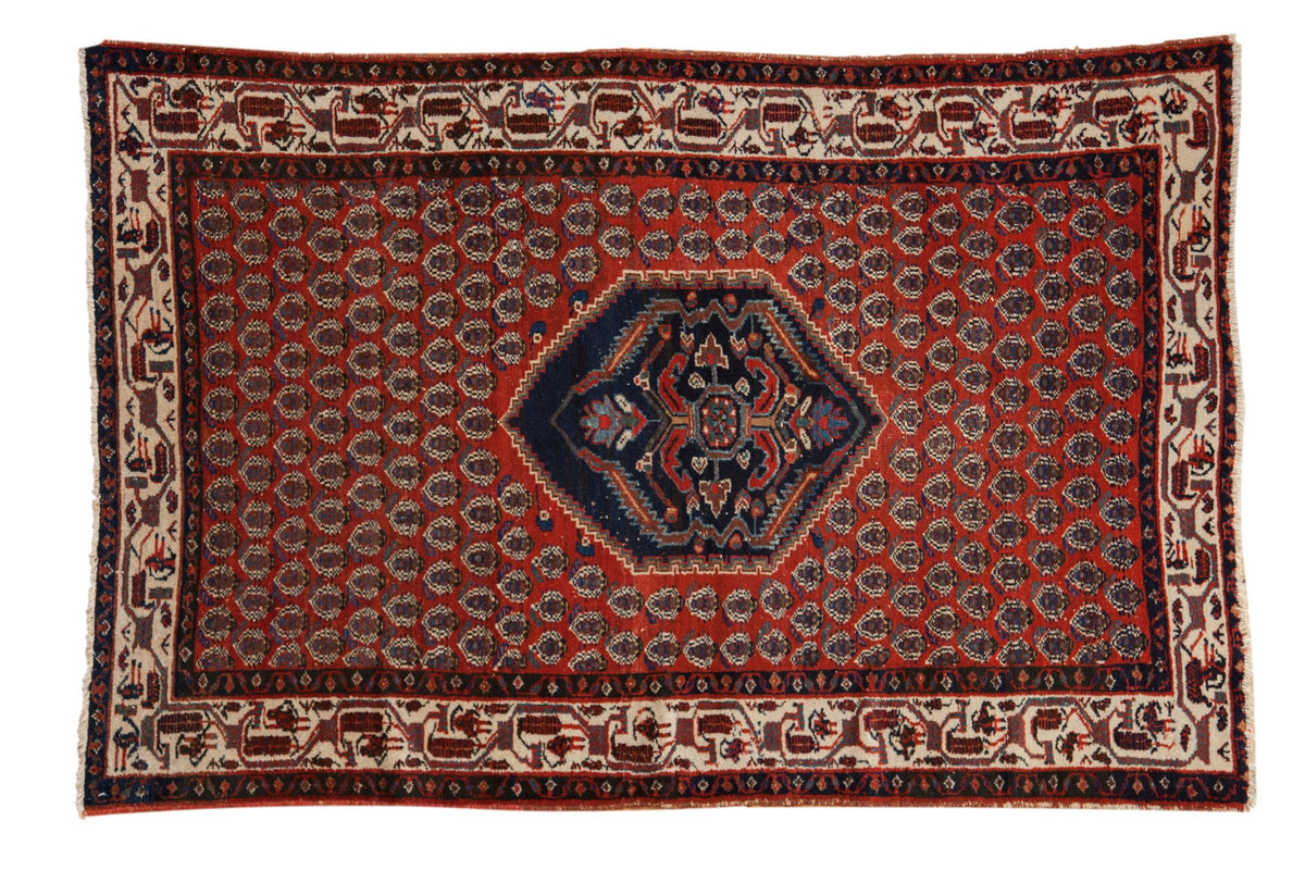 4x6 Vintage Serbend Rug by Old New House® - main product image for Resin Society