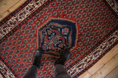 4x6 Vintage Serbend Rug by Old New House® - product image 2 for Resin Society