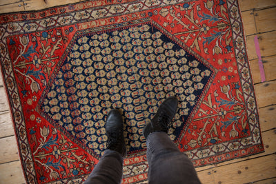 3.5x4.5 Vintage Malayer Square Rug by Old New House® - product image 2 for Resin Society