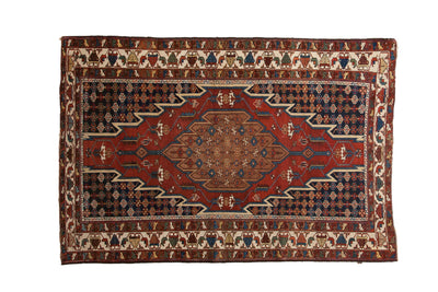 4x6.5 Vintage Fine Hamadan Rug by Old New House® - main product image for Resin Society