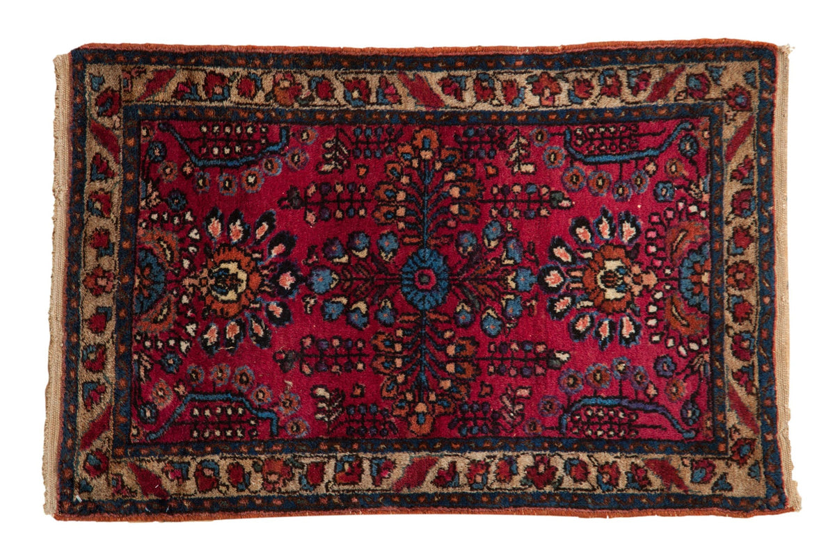 2x3 Vintage Fine Lilihan Rug Mat by Old New House® - main product image for Resin Society