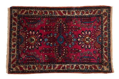 2x3 Vintage Fine Lilihan Rug Mat by Old New House® - main product image for Resin Society