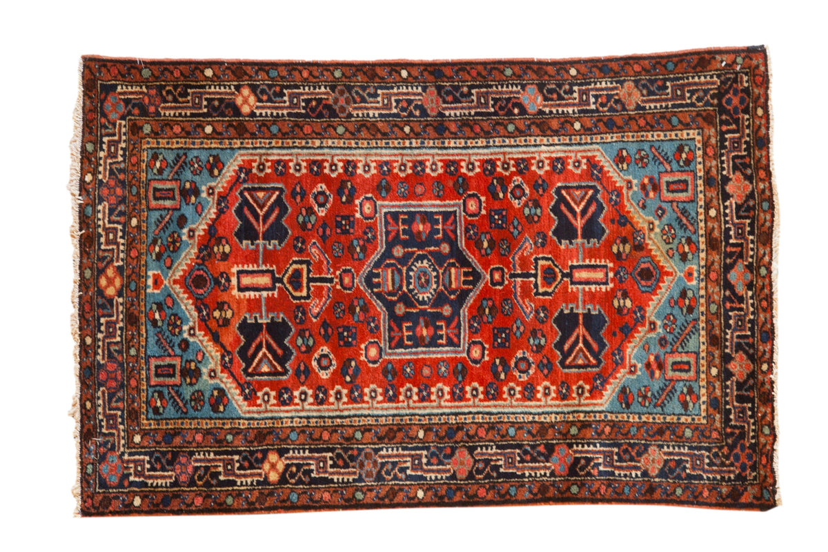 2.5x4 Vintage Tajabad Rug by Old New House® - main product image for Resin Society