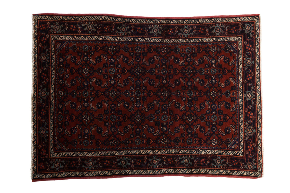 3.5x5 Vintage Fine Engelas Rug by Old New House® - main product image for Resin Society