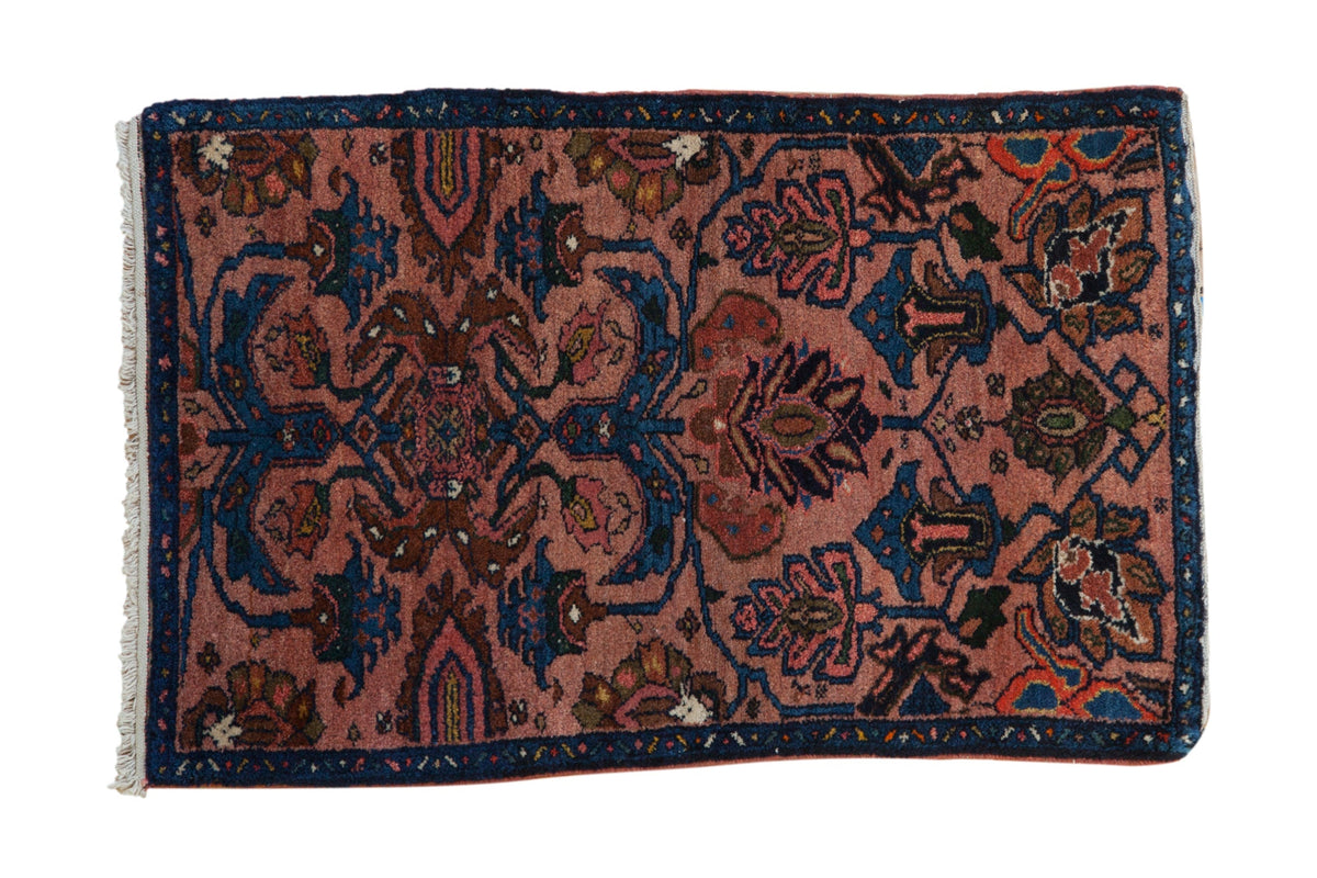2x3.5 Vintage Sampler Mehreban Rug by Old New House® - main product image for Resin Society
