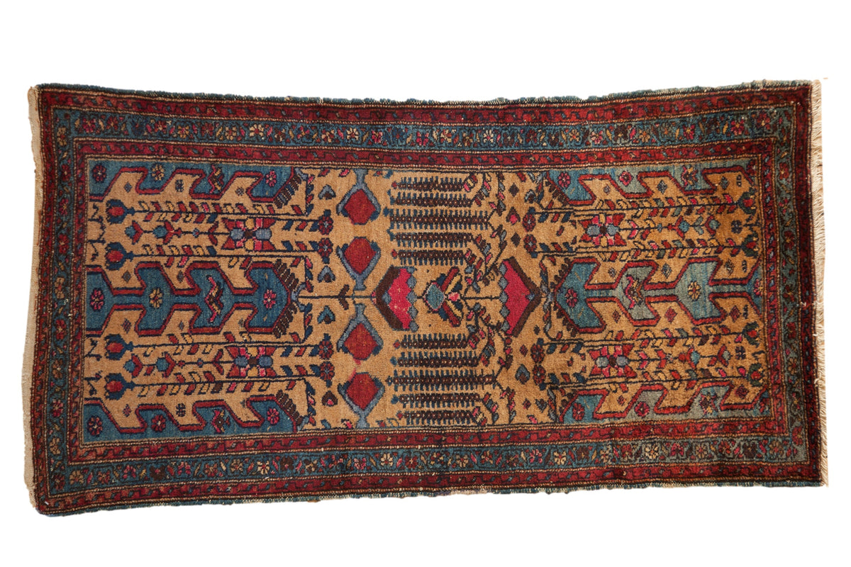 3.5x6.5 Vintage Mehreban Rug by Old New House® - main product image for Resin Society