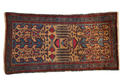 3.5x6.5 Vintage Mehreban Rug by Old New House® - main product image for Resin Society