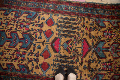 3.5x6.5 Vintage Mehreban Rug by Old New House® - product image 2 for Resin Society