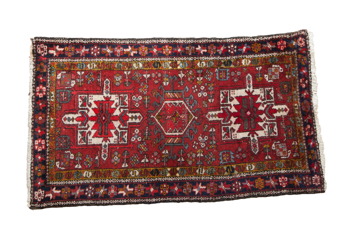 2.5x4.5 Vintage Fine Karaja Rug by Old New House® - main product image for Resin Society
