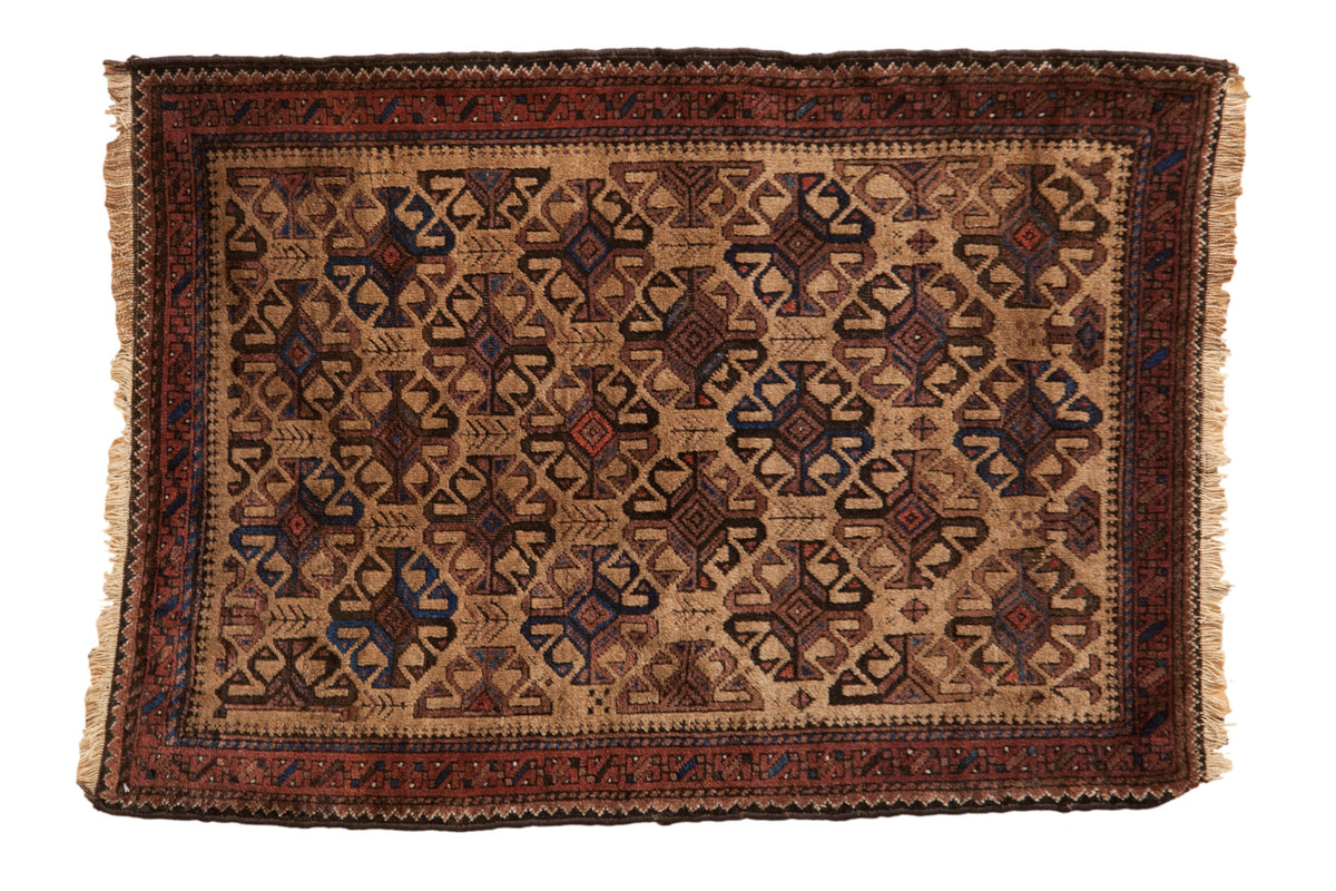 3x4 Vintage Belouch Square Rug by Old New House® - main product image for Resin Society