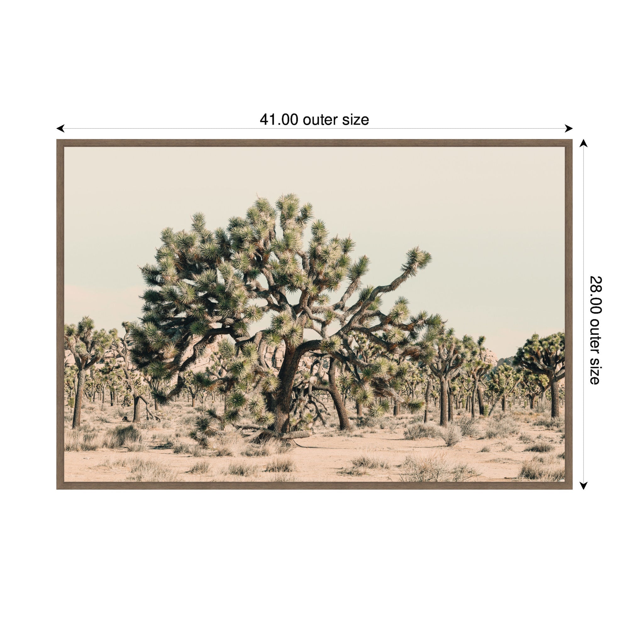 Joshua Tree No.
1 by Alicia Bock Framed Canvas Wall Art Print