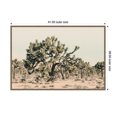 Joshua Tree No.
1 by Alicia Bock Framed Canvas Wall Art Print