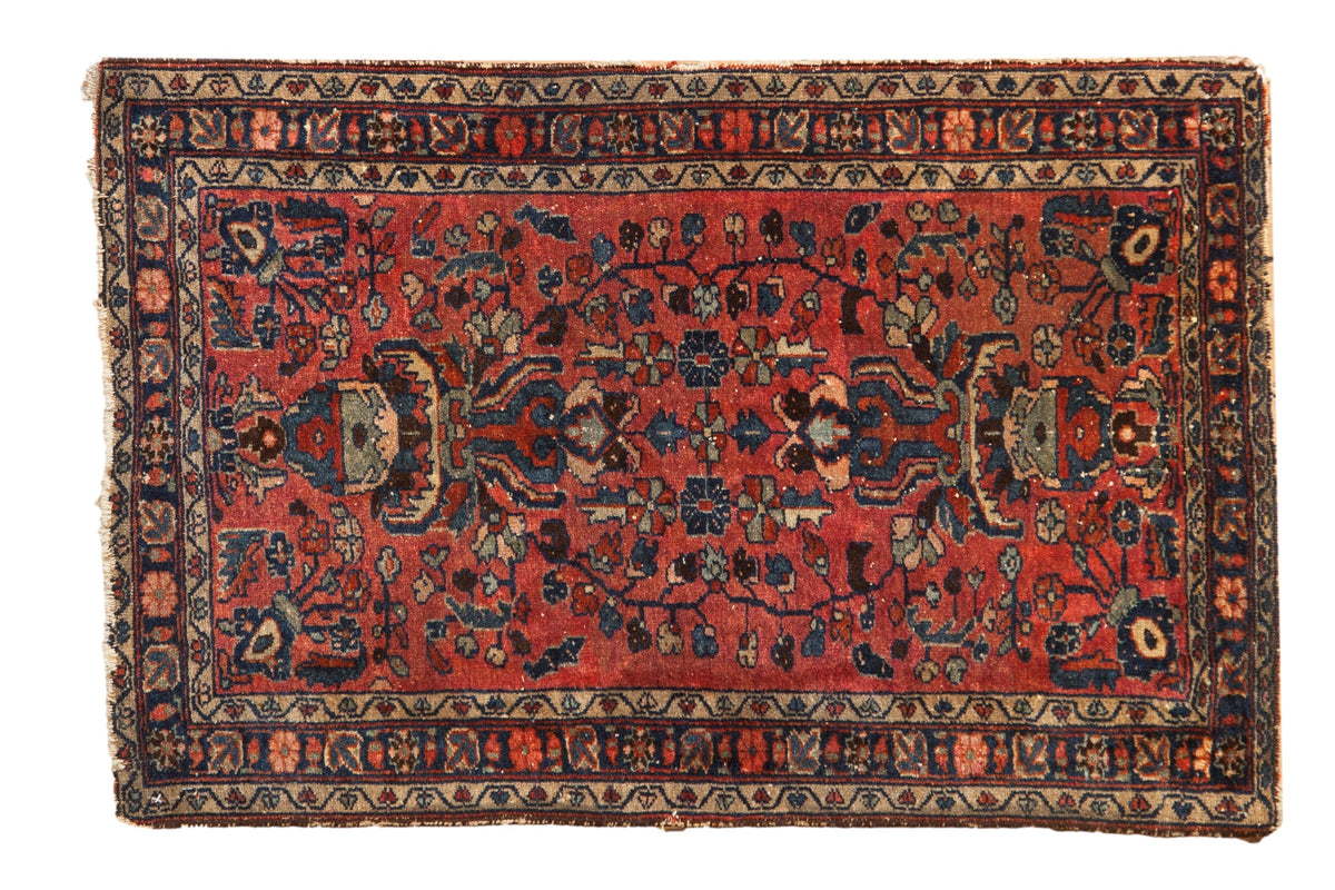 2.5x4 Vintage Fine Lilihan Rug by Old New House® - main product image for Resin Society