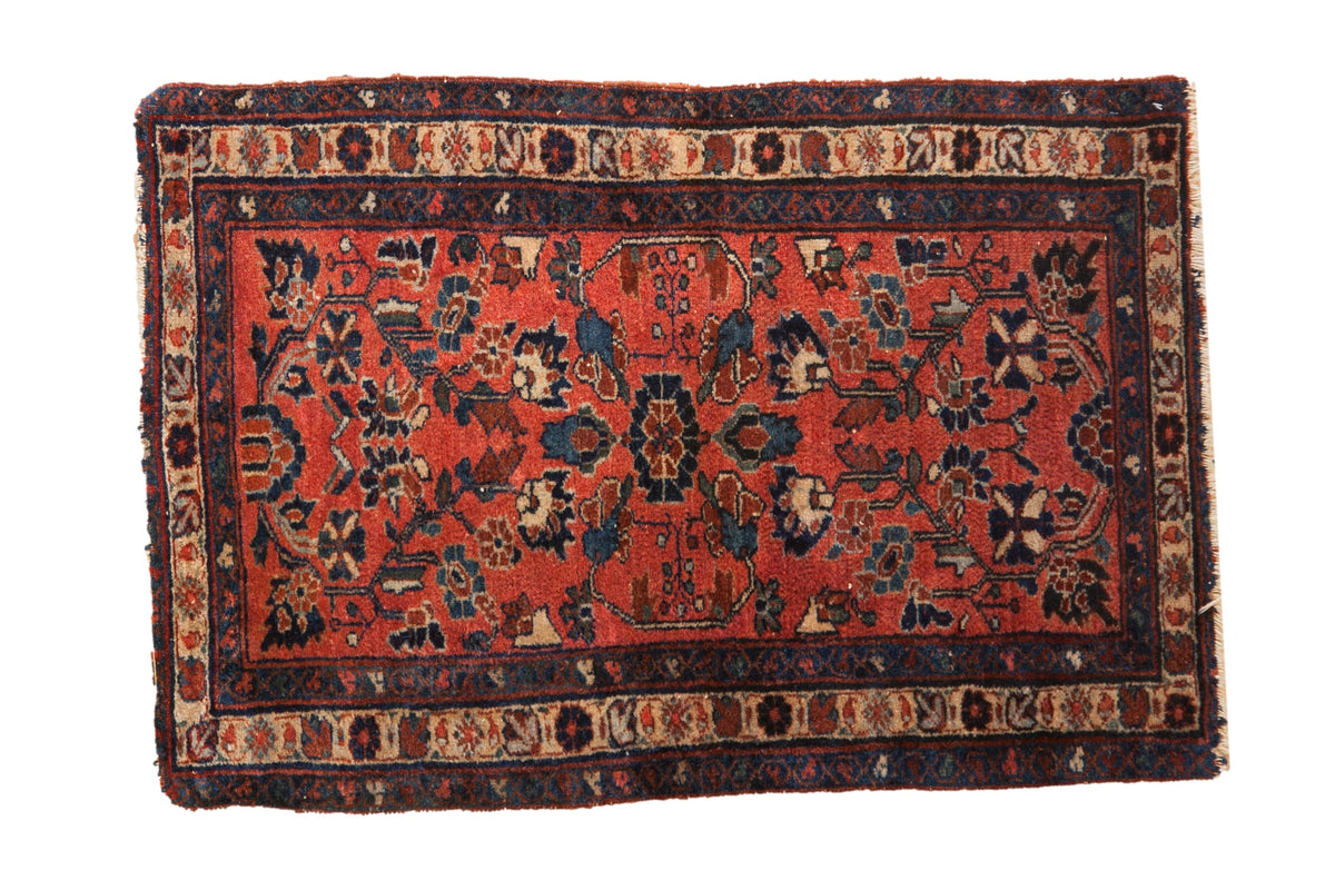 2.5x4 Vintage Fine Mehreban Rug by Old New House® - main product image for Resin Society