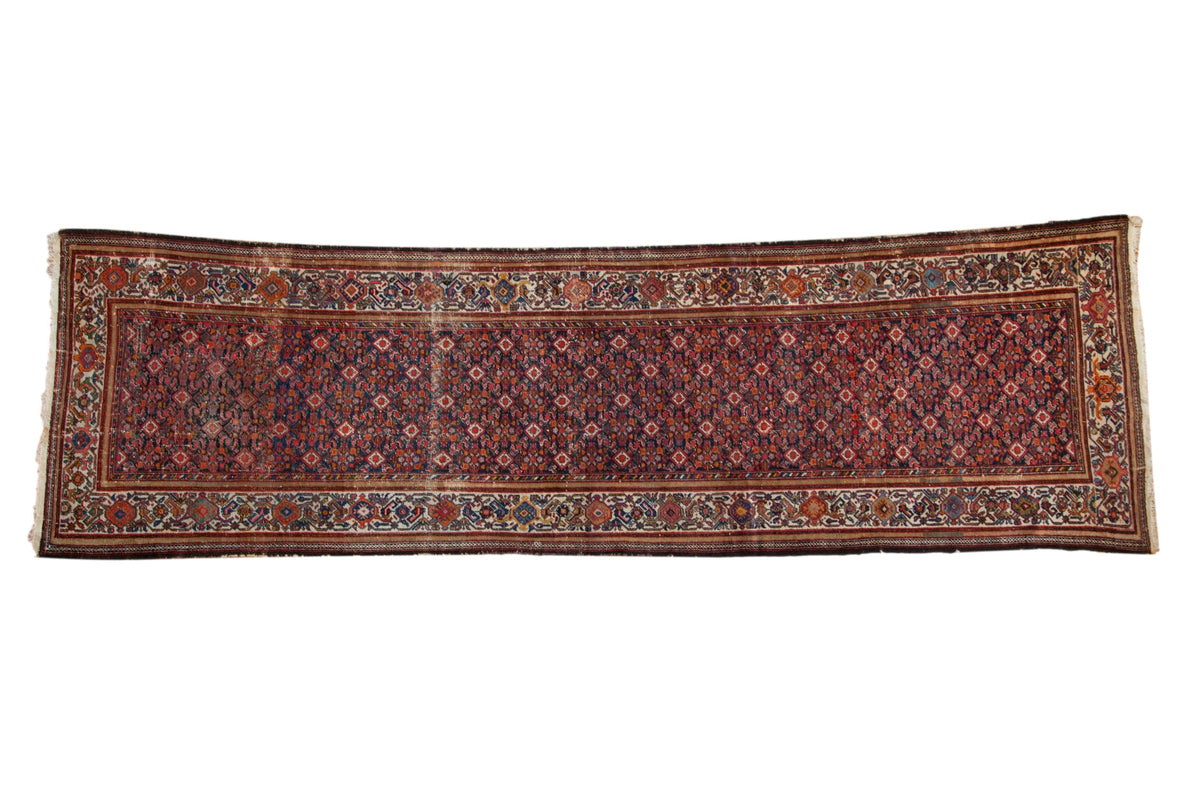 3.5x12 Vintage Malayer Rug Runner by Old New House® - main product image for Resin Society
