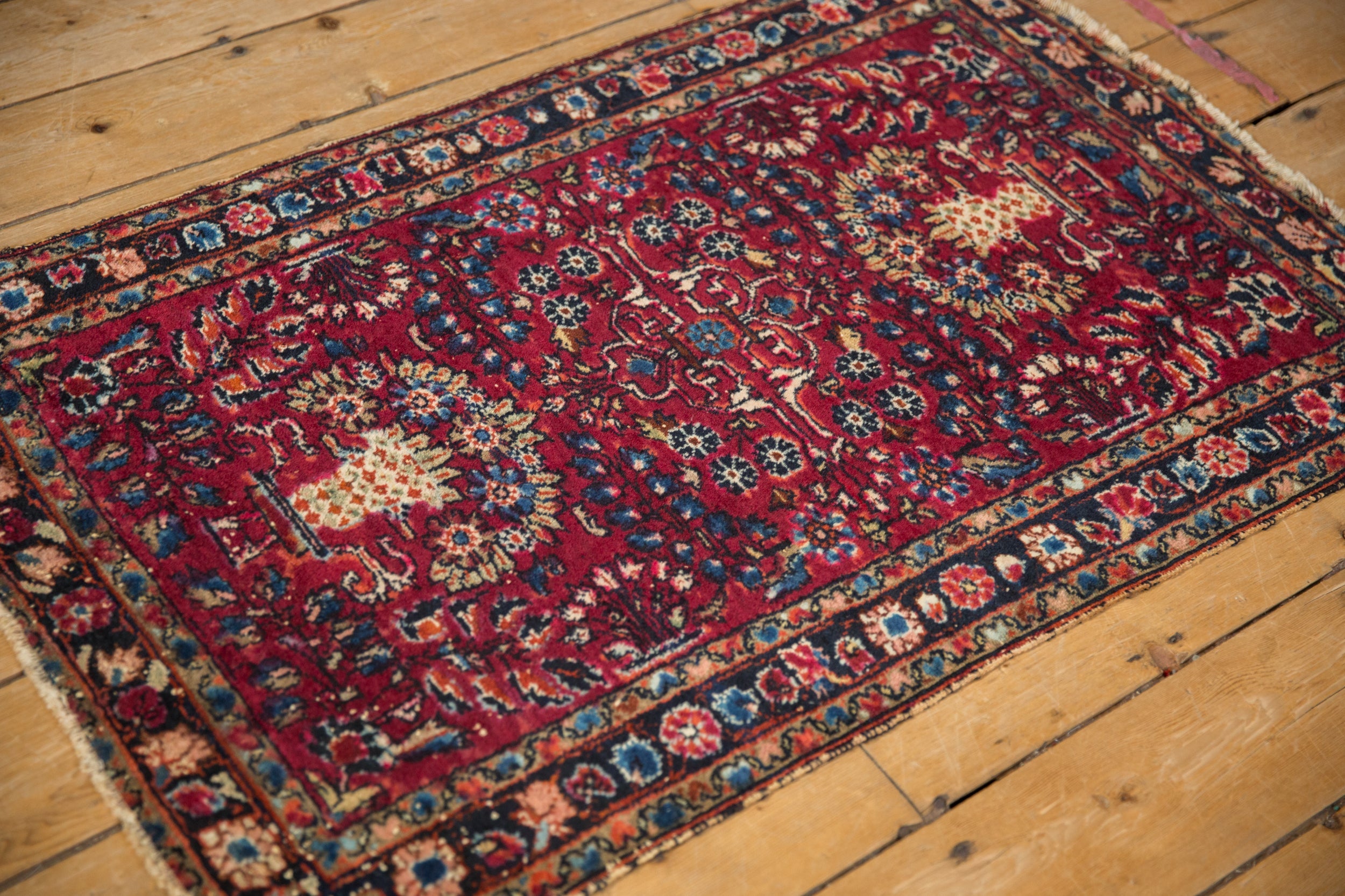 2.5x4 Vintage Lilihan Rug by Old New House® - product image 5 for Resin Society