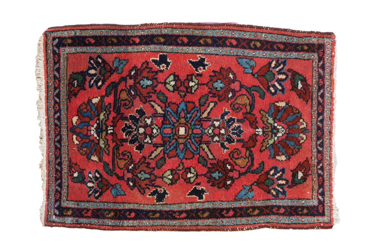 2x3 Vintage Lilihan Rug Mat by Old New House® - main product image for Resin Society