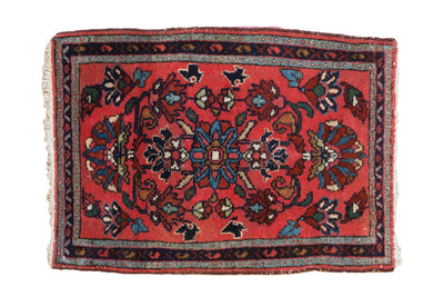 2x3 Vintage Lilihan Rug Mat by Old New House® - main product image for Resin Society