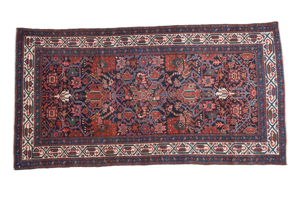 3x6 Vintage Malayer Rug Runner by Old New House® - main product image for Resin Society