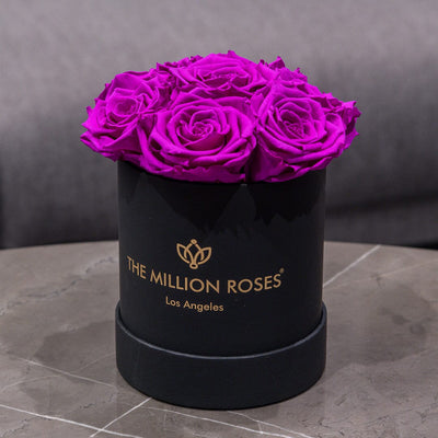 Essence Black Box | Bright Purple Roses