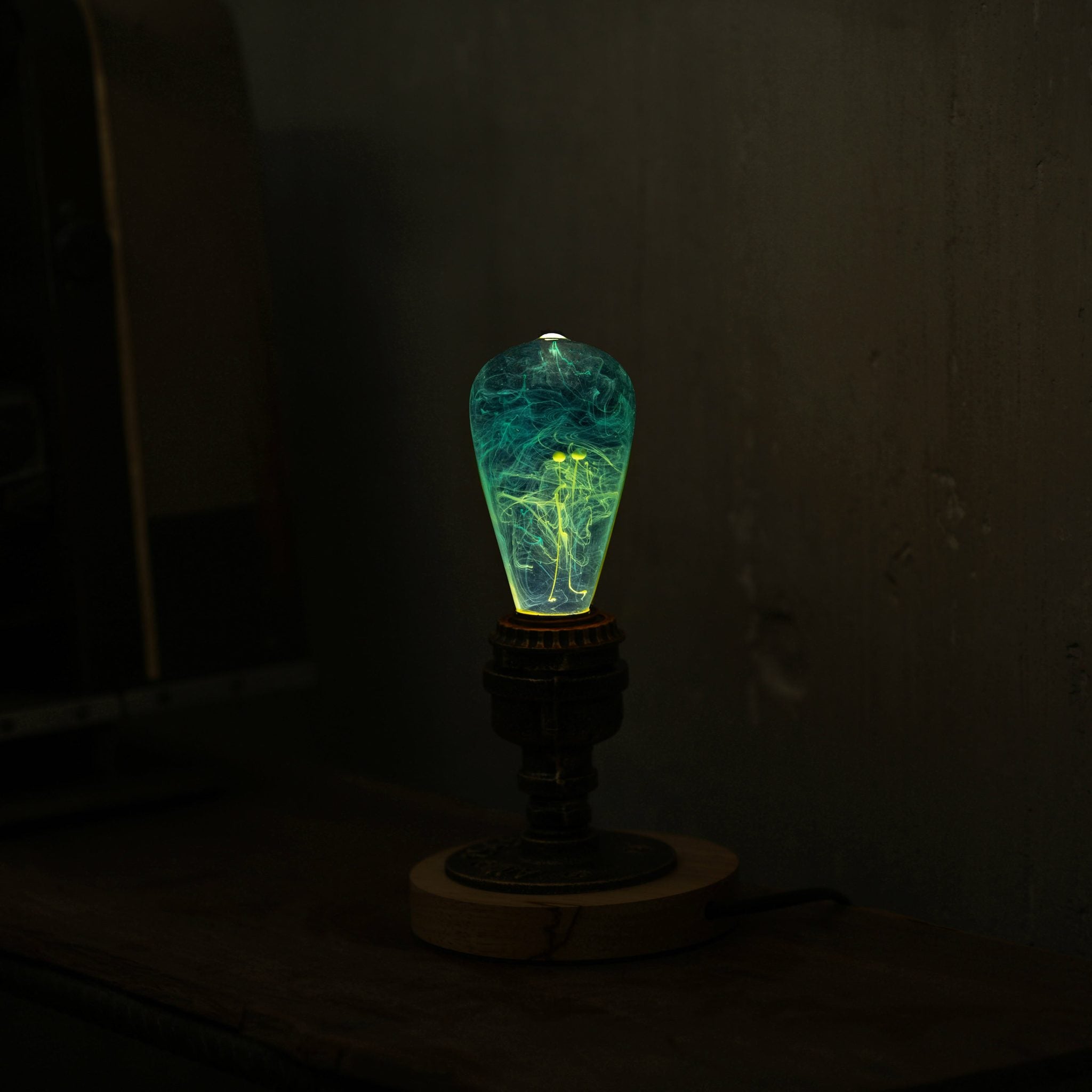 EP Light Mind Decorative Resin LED Bulb with unique resin design and wooden base options