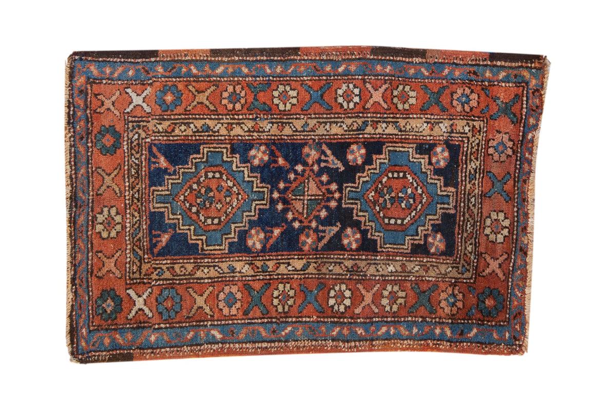 2.5x4.5 Antique Heriz Rug by Old New House® - main product image for Resin Society
